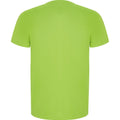 Lime - Back - Roly Mens Imola Short-Sleeved Sports T-Shirt