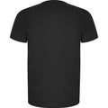 Dark Lead - Back - Roly Mens Imola Short-Sleeved Sports T-Shirt