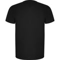 Solid Black - Back - Roly Mens Imola Short-Sleeved Sports T-Shirt