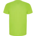 Fluorescent Green - Back - Roly Mens Imola Short-Sleeved Sports T-Shirt