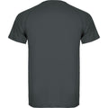 Dark Lead - Back - Roly Mens Montecarlo Short-Sleeved Sports T-Shirt