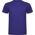 Mauve - Front - Roly Mens Montecarlo Short-Sleeved Sports T-Shirt