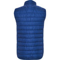 Electric Blue - Back - Roly Childrens-Kids Oslo Insulated Body Warmer