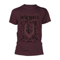 Maroon - Front - Behemoth Unisex Adult Furor Divinus T-Shirt