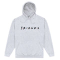 Heather Grey - Front - Friends Unisex Adult Logo Hoodie