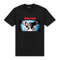 Black - Front - Gremlins Unisex Adult Never Get It Wet T-Shirt