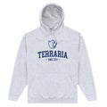 Heather Grey-Blue - Front - Terraria Unisex Adult Hoodie