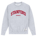 Grey - Front - Park Fields Unisex Adult Stanford University Script Sweatshirt