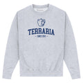 Heather Grey - Front - Terraria Unisex Adult Printed Sweatshirt