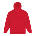 Red - Back - Park Fields Unisex Adult Arch Hoodie