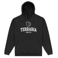 Black - Front - Terraria Unisex Adult Since 2011 Hoodie