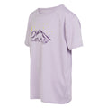 Lilac Frost - Side - Regatta Childrens-Kids Alvarado VIII Mountain T-Shirt