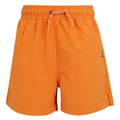 Persimmon - Front - Regatta Childrens-Kids Skander III Plain Swim Shorts