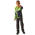 Piquant Green-Navy - Lifestyle - Regatta Childrens-Kids Acidity VII Soft Shell Jacket