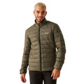 Crocodile - Side - Regatta Mens Marizion Padded Jacket