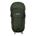 Dark Khaki-Four Leaf Clover - Front - Regatta Highton V2 35L Backpack