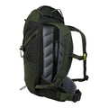 Dark Khaki-Four Leaf Clover - Back - Regatta Highton V2 35L Backpack