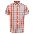 Silver Grey-Rusty Orange - Front - Regatta Mens Denmoor Checked Shirt