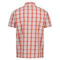 Silver Grey-Rusty Orange - Back - Regatta Mens Denmoor Checked Shirt