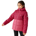 Deep Pink-Hot Pink - Side - Regatta Childrens-Kids Lofthouse VIII Insulated Jacket