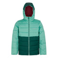 Dusty Green-Rainforest - Front - Regatta Childrens-Kids Lofthouse VIII Insulated Jacket