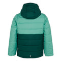 Dusty Green-Rainforest - Back - Regatta Childrens-Kids Lofthouse VIII Insulated Jacket