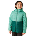 Dusty Green-Rainforest - Side - Regatta Childrens-Kids Lofthouse VIII Insulated Jacket