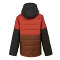 Red Ochre-Dark Brown - Back - Regatta Childrens-Kids Lofthouse VIII Insulated Jacket