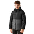 Black-Seal Grey - Back - Regatta Childrens-Kids Lofthouse VIII Insulated Jacket