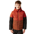 Red Ochre-Dark Brown - Side - Regatta Childrens-Kids Lofthouse VIII Insulated Jacket