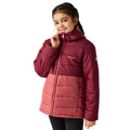 Rumba Red-Mineral Red - Side - Regatta Childrens-Kids Lofthouse VIII Insulated Jacket