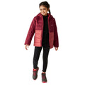 Rumba Red-Mineral Red - Lifestyle - Regatta Childrens-Kids Lofthouse VIII Insulated Jacket