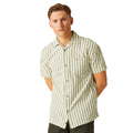 Fauna-Antique White - Lifestyle - Regatta Mens Shorebay II Stripe Short-Sleeved Shirt