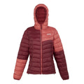 Rumba Red-Mineral Red - Front - Regatta Womens-Ladies Hillpack II Hooded Jacket