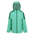 Dusty Green-Rainforest - Front - Regatta Childrens-Kids Hurdle V Waterproof Jacket