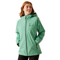 Dusty Green - Lifestyle - Regatta Womens-Ladies Highton IV Plain Stretch Padded Jacket