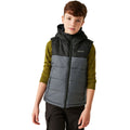 Black-Seal Grey - Side - Regatta Childrens-Kids Lofthouse II Gilet