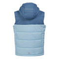 Coronet Blue-Clear Sky - Back - Regatta Childrens-Kids Lofthouse II Gilet