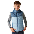 Coronet Blue-Clear Sky - Side - Regatta Childrens-Kids Lofthouse II Gilet