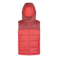 Mineral Red-Red Sky - Front - Regatta Childrens-Kids Lofthouse II Gilet