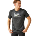 Seal Grey - Lifestyle - Regatta Mens Fingal VIII Mountain Marl T-Shirt