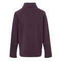 Deep Plum - Back - Regatta Great Outdoors Childrens-Kids Hot Shot II Half Zip Fleece Top