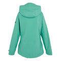 Dusty Green - Back - Regatta Womens-Ladies Birchdale Shell Waterproof Jacket