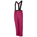 Berry Pink - Side - Dare 2B Childrens-Kids Motive Ski Pants