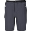 Seal Grey - Front - Regatta Mens Xert III Stretch Shorts