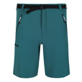 Pacific Green - Front - Regatta Mens Xert III Stretch Shorts