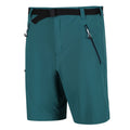 Pacific Green - Side - Regatta Mens Xert III Stretch Shorts