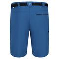 Dynasty Blue - Back - Regatta Mens Xert III Stretch Shorts