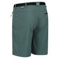 Sea Pine - Side - Regatta Mens Xert III Stretch Shorts