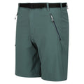 Sea Pine - Lifestyle - Regatta Mens Xert III Stretch Shorts